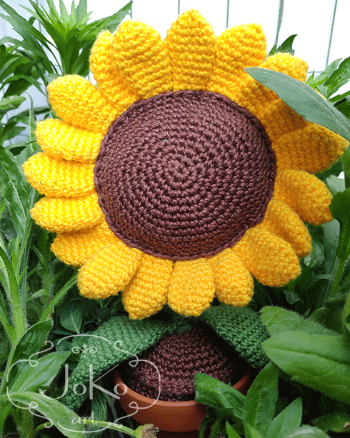 Słonecznik (sunflower) 05/2019